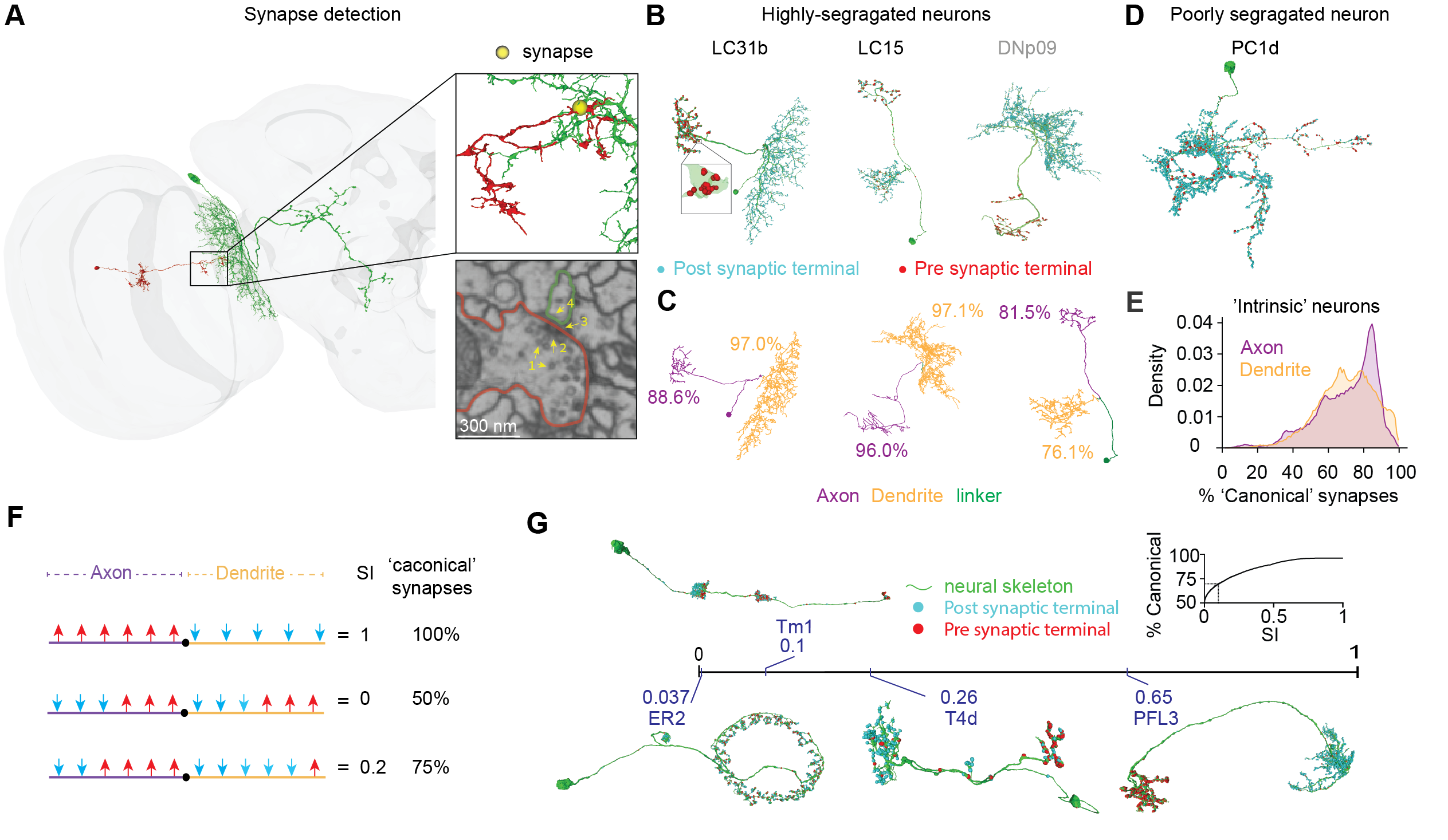 Full-Brain (Connectome) figure 1